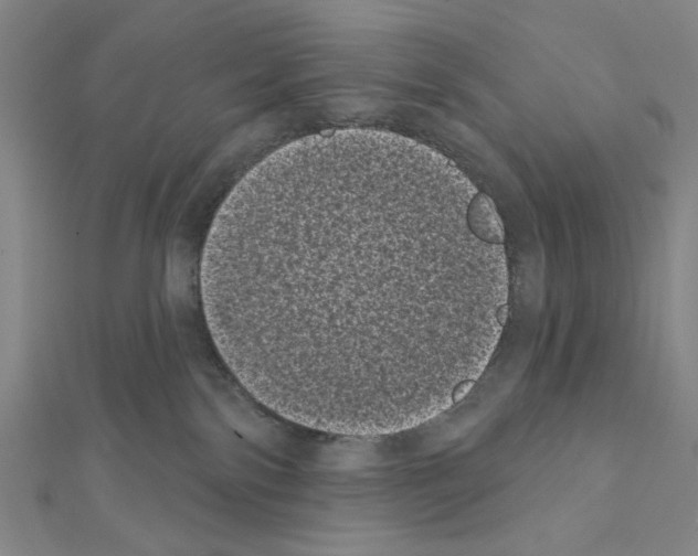 X0000111460138200908241328