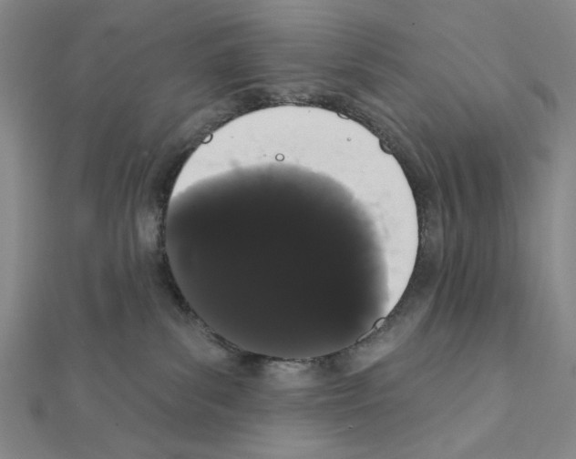 X0000111460139200908241328