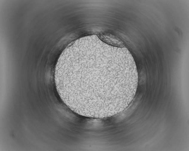 X0000111460140200908241328
