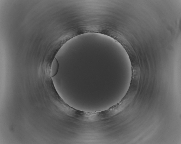 X0000111460143200908241327