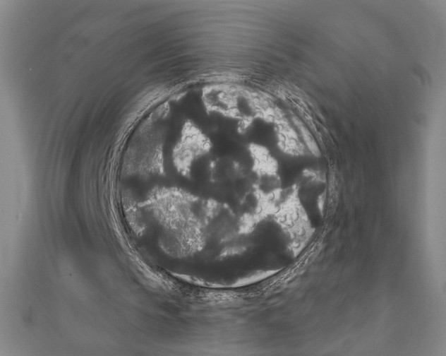 X0000111460145200908241327