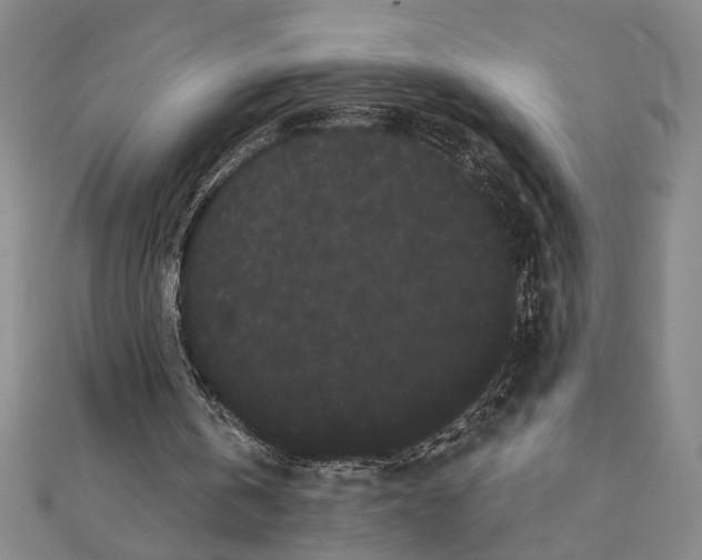 X0000111460146200908241327