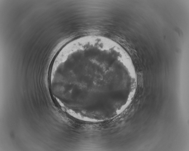 X0000111460147200908241327