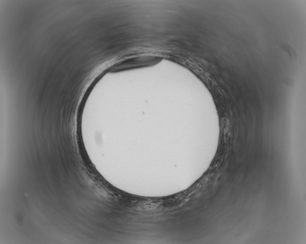 X0000111460148200908241327