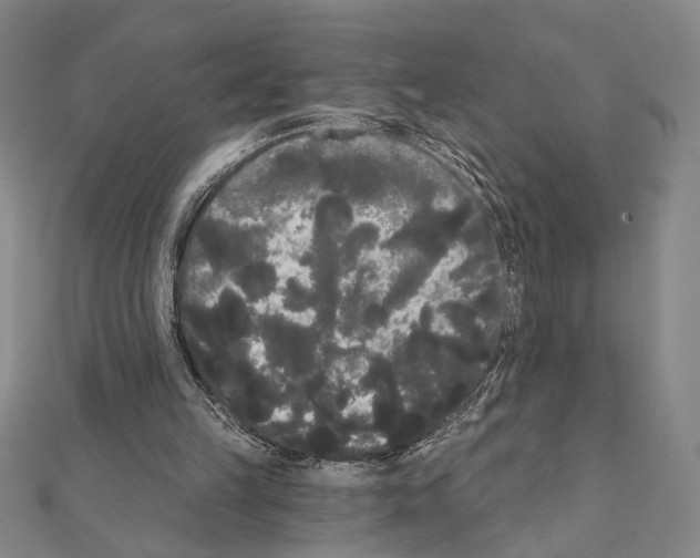 X0000111460149200908241327
