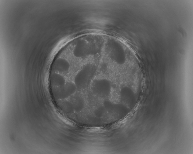 X0000111460151200908241327