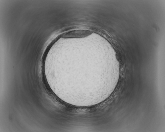X0000111460152200908241327