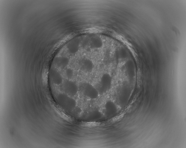 X0000111460153200908241327