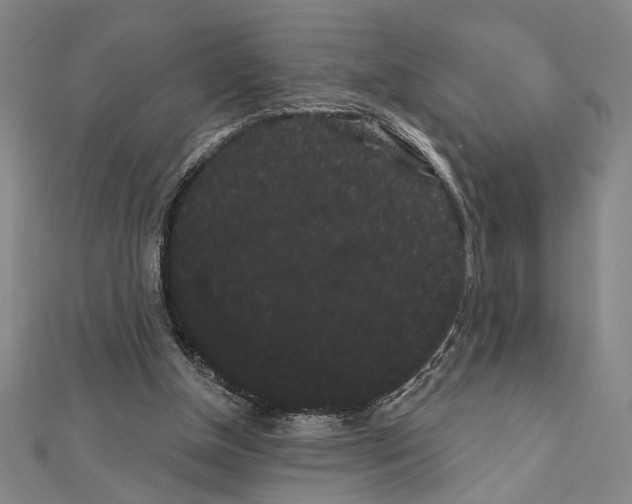 X0000111460154200908241327