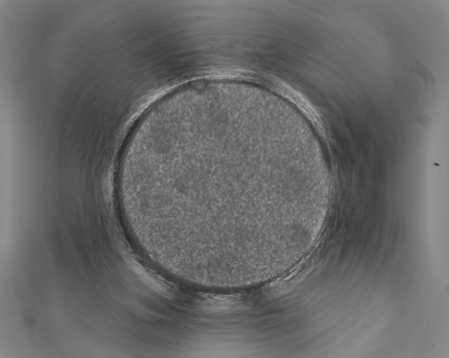 X0000111460155200908241327