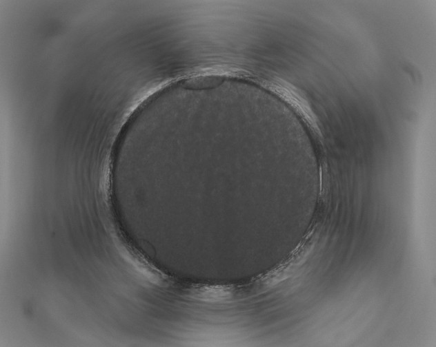 X0000111460156200908241327