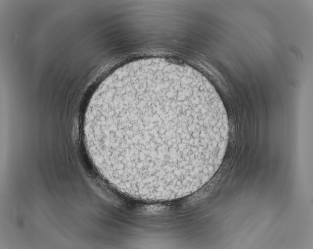 X0000111460158200908241327