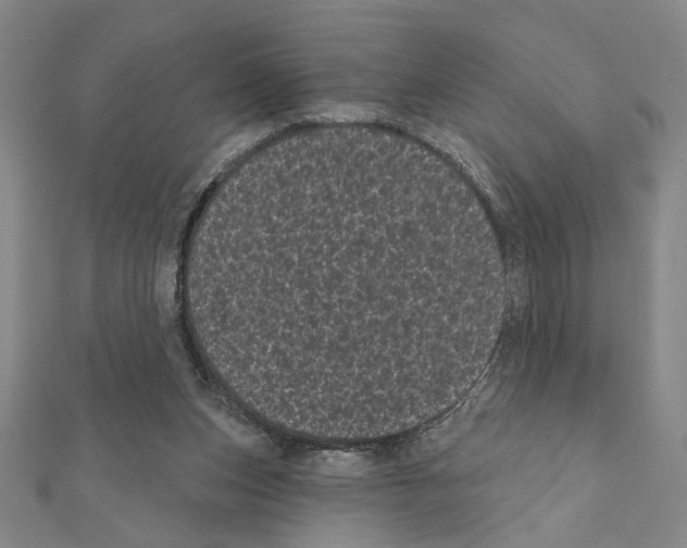 X0000111460159200908241327