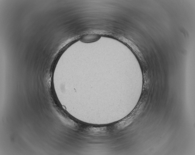 X0000111460160200908241327
