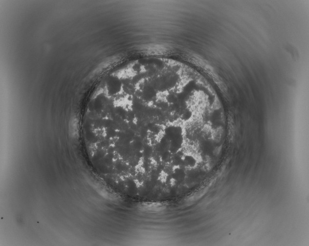 X0000111460161200908241327