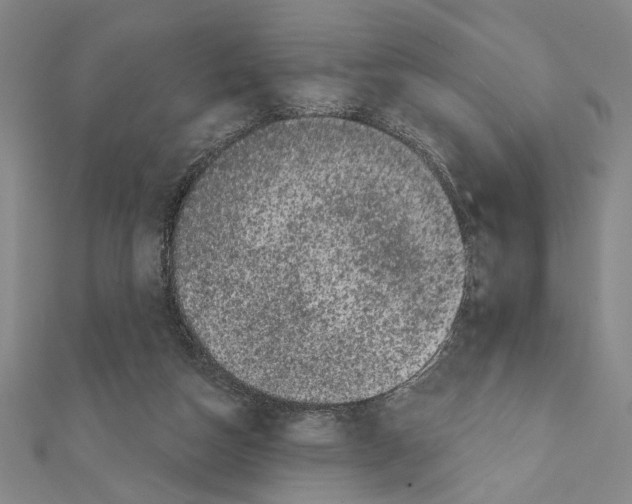 X0000111460162200908241327