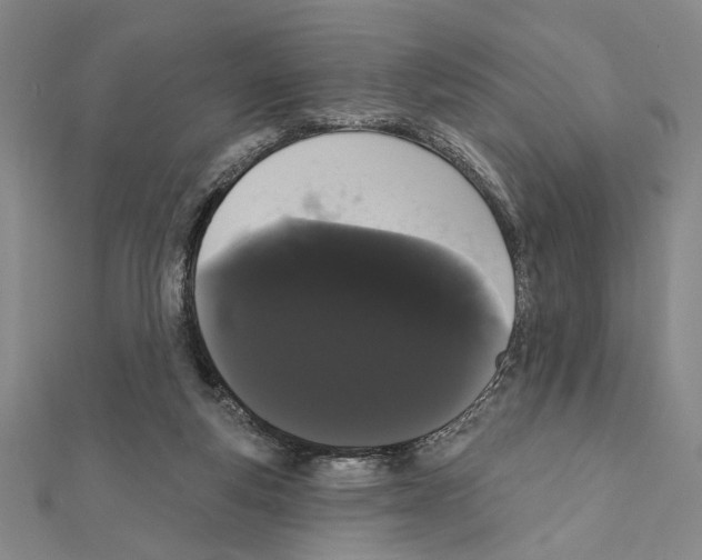 X0000111460163200908241327