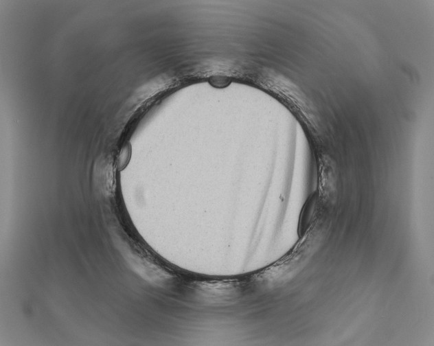 X0000111460164200908241327