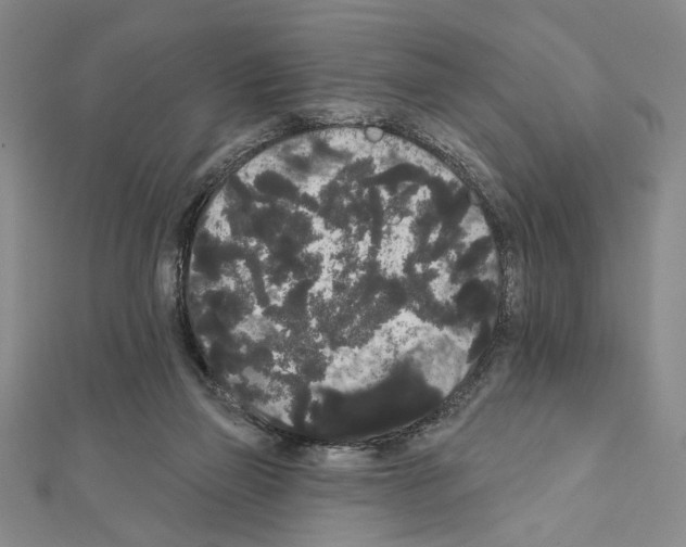 X0000111460165200908241327