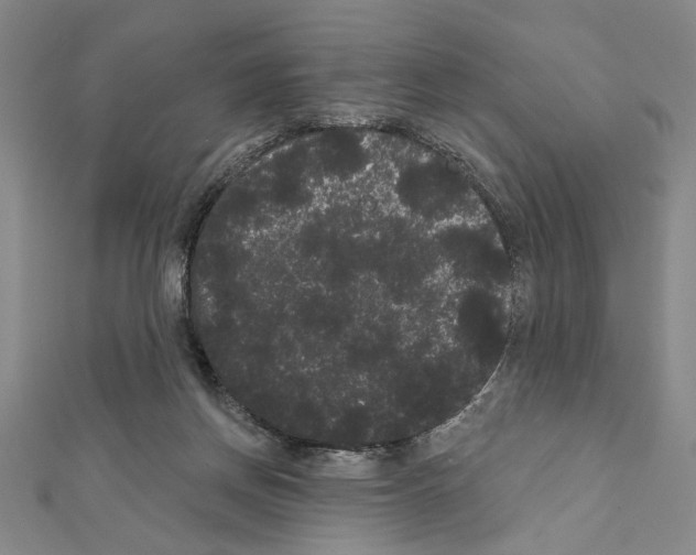 X0000111460166200908241327