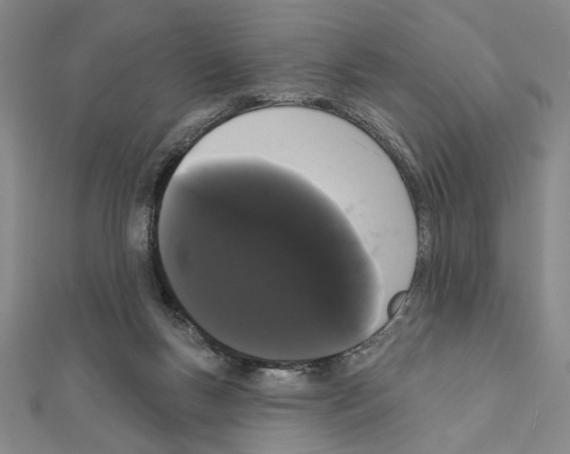 X0000111460167200908241327