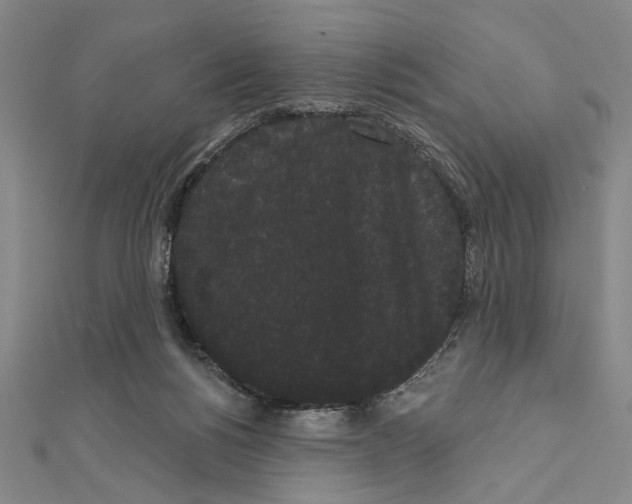 X0000111460168200908241327