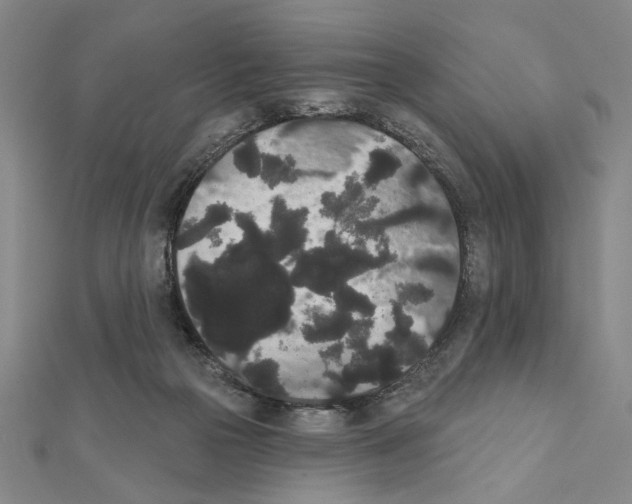 X0000111460169200908241327