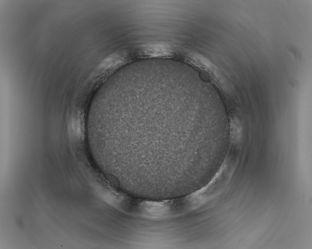 X0000111460170200908241327