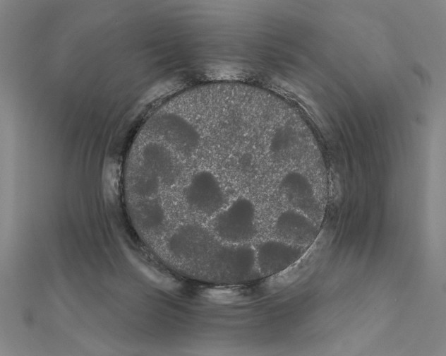 X0000111460171200908241327