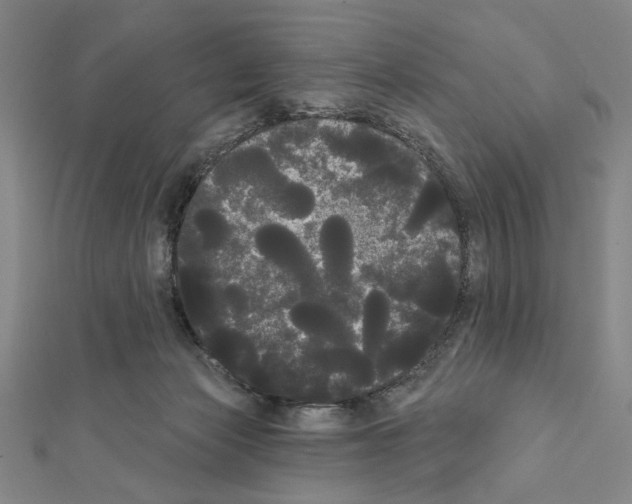 X0000111460173200908241327