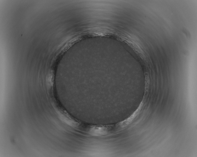 X0000111460174200908241327