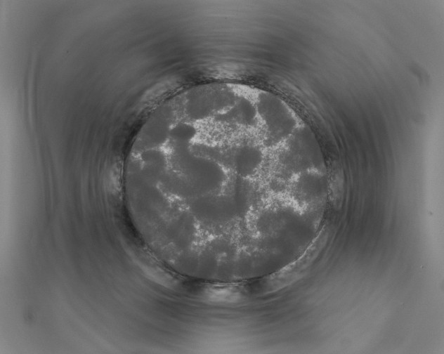 X0000111460175200908241327