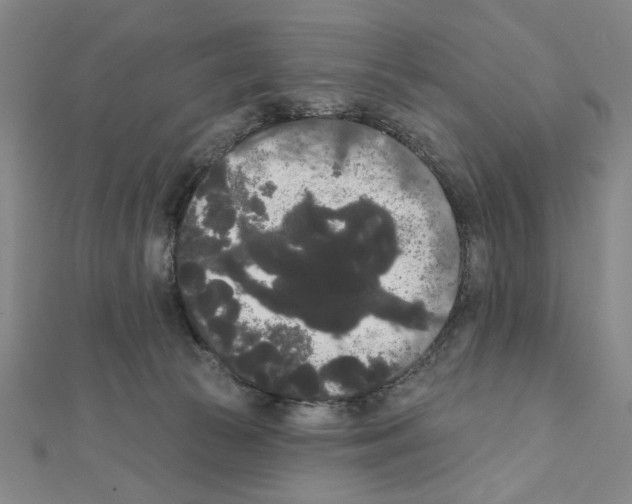 X0000111460177200908241327