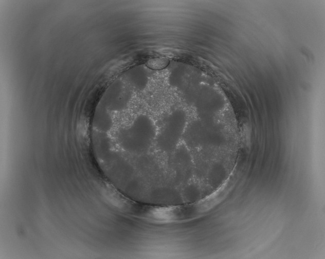 X0000111460178200908241327