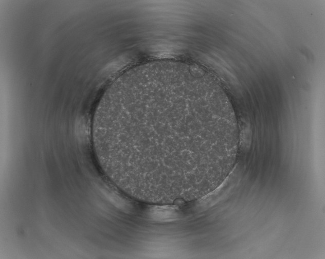 X0000111460179200908241327