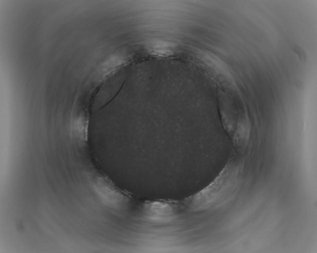 X0000111460180200908241327