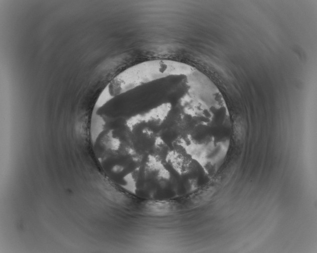 X0000111460181200908241327