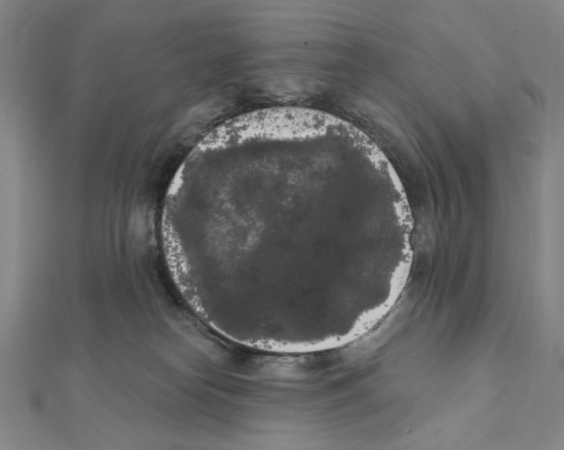 X0000111460182200908241327