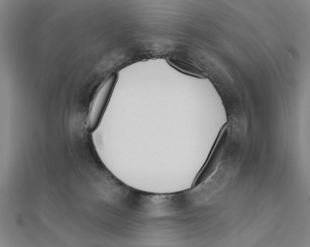 X0000111460184200908241327