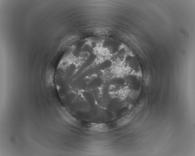 X0000111460185200908241327