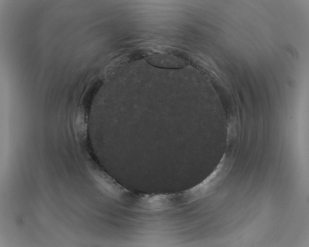X0000111460186200908241327