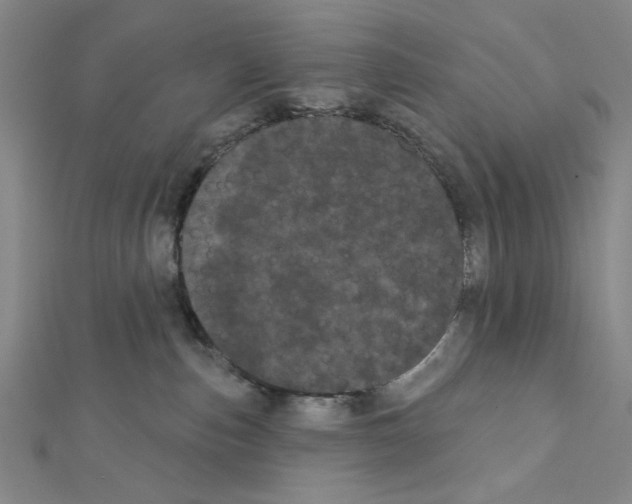 X0000111460187200908241327