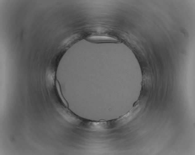 X0000111460188200908241327