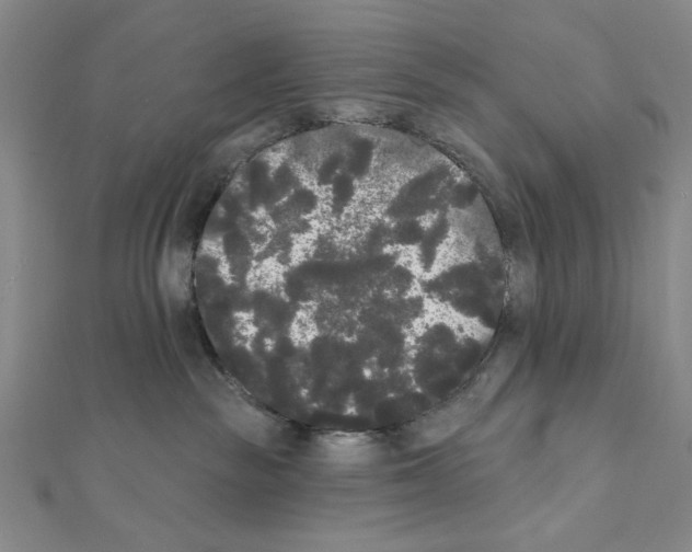 X0000111460189200908241327