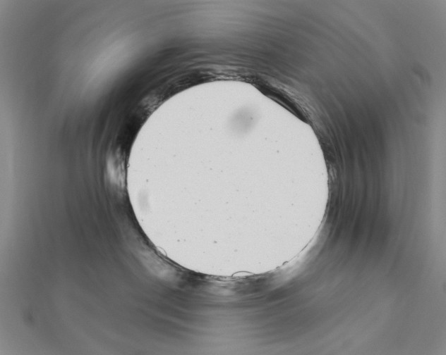 X0000111460190200908241327