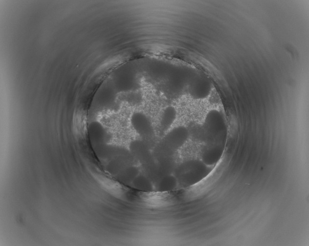 X0000111460191200908241327
