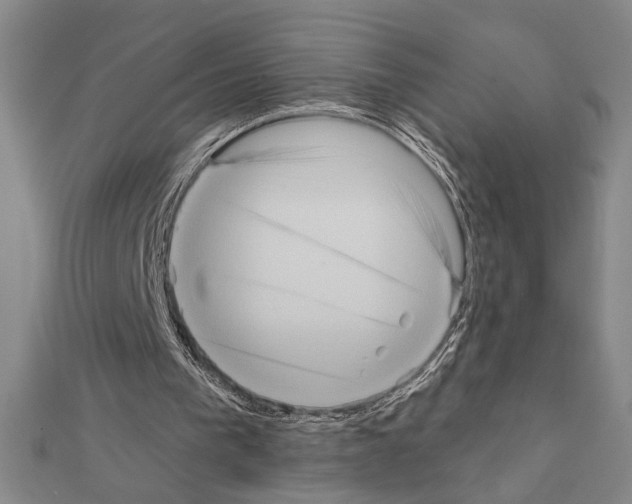 X0000111460193200908241326
