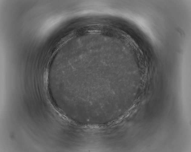 X0000111460194200908241326