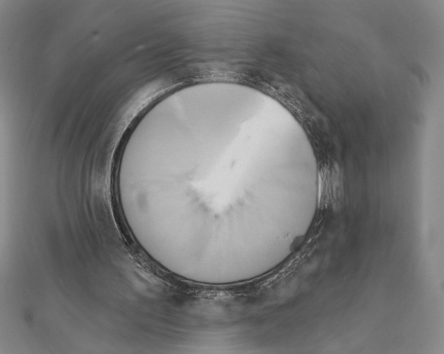 X0000111460195200908241326
