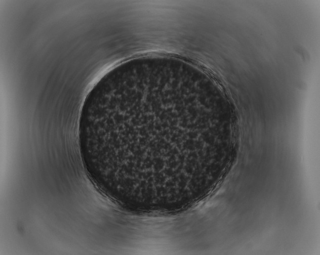 X0000111460196200908241326